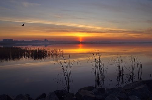 Ранее утро на озере Смолино