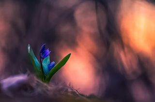 Ураааа пришла весна