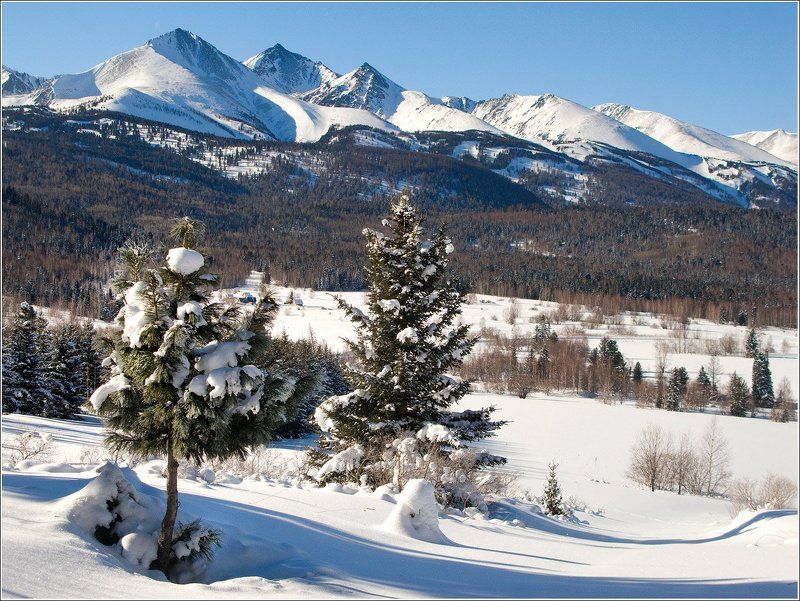 зима, снег, горы, леса, кедр, пихта Горы на исходе февраляphoto preview