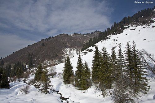 Зима в Бутаковском ущелье.
