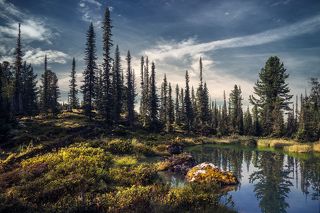 Таежное озерцо / Tiny taiga lake
