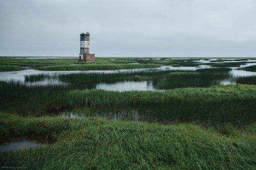 Старый маяк на болотах
