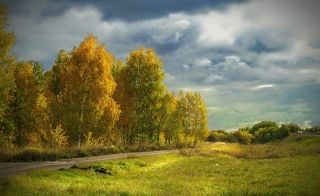 Задумчивая осень...