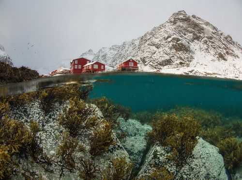 Two Worlds. Underwater Lofoten.