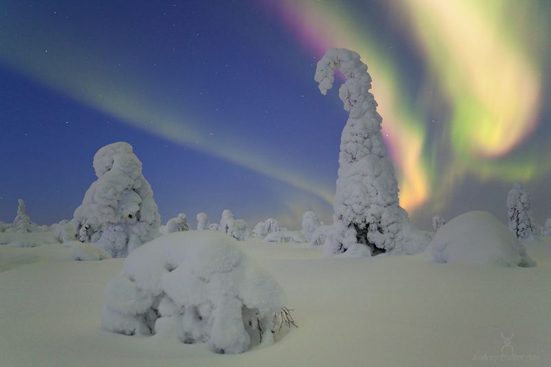 северное сияние, сияние, aurora, aurora borealis, borealis, подкорытов, podkorytov Краски севераphoto preview