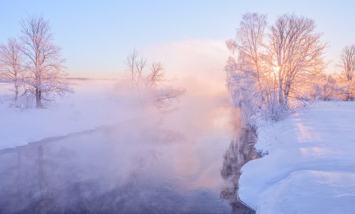 Зимнее утро у реки