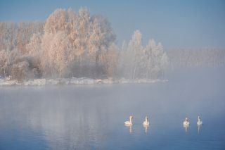 Лебединое озеро