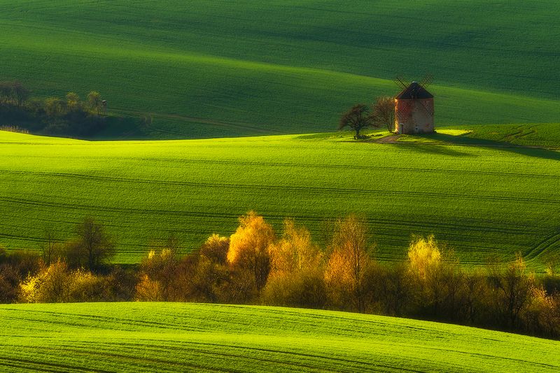 spring south moravia fields green  Moravian Spring...photo preview