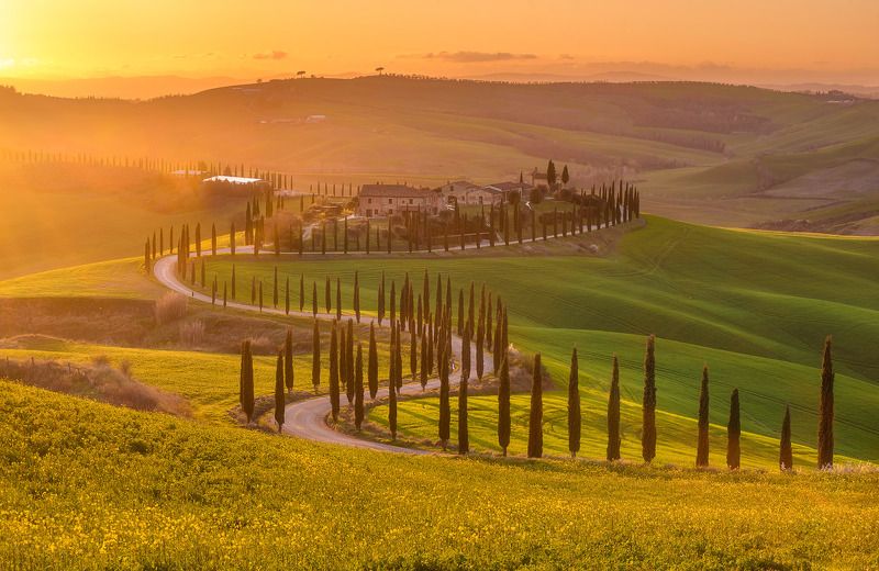 Tuscany, Crete Senesi, Italy, sunset, golden hour, Тоскана, cypress Тосканаская идиллияphoto preview