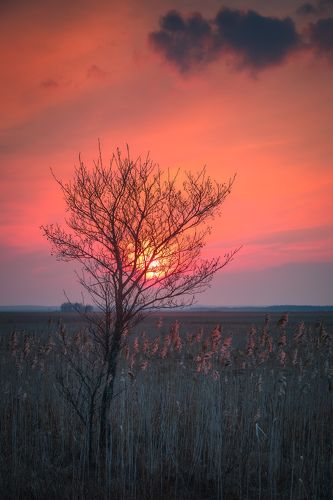 Fiery sunset over Biebrza marshland