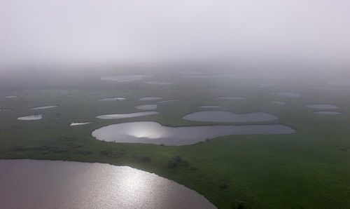  васюганское болото