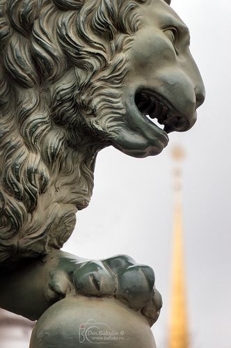 Лев у Дворцового моста покушается на символ Петербурга на Адмиралтействе.