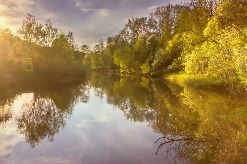 Рыбинск река черемуха