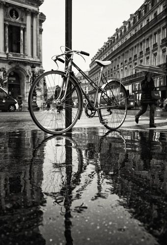 Parisian cycle.