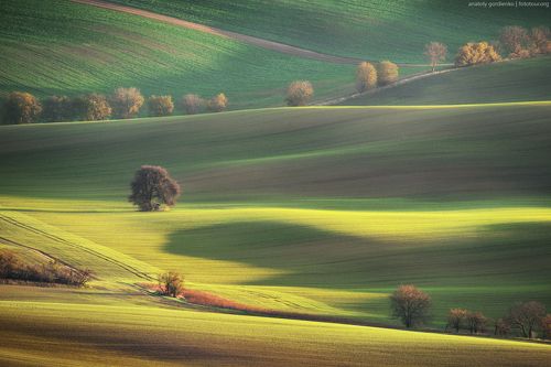 Autumn fields of Moravia