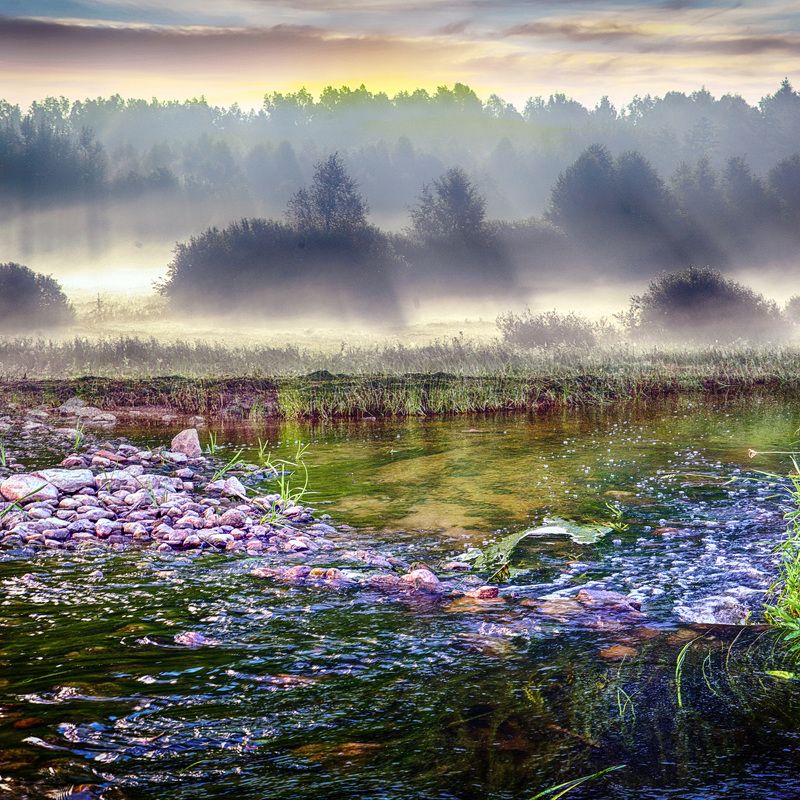 утро, туман, река, природа Раннее утроphoto preview