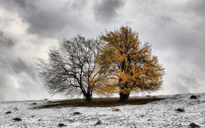 осень,зима Осенне-зимняя парочкаphoto preview