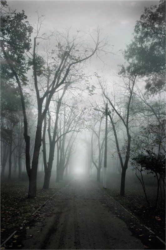 осень., туман По дороге в туманphoto preview