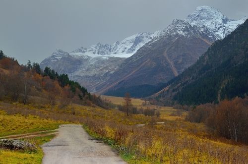 Золотая осень в горах Домбая Фотограф Горшков Игорь Дзен