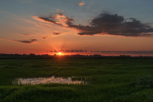 Закат над рисовым полем #2