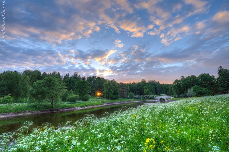 парк, павловск, лето, закат Последний луч солнцаphoto preview