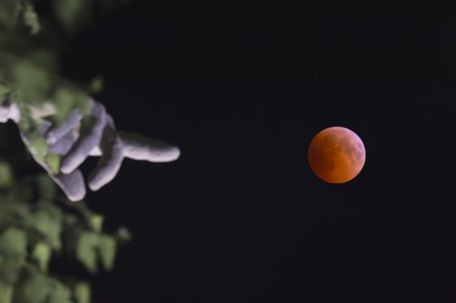 Лунное затмение на Мамаевом Кургане