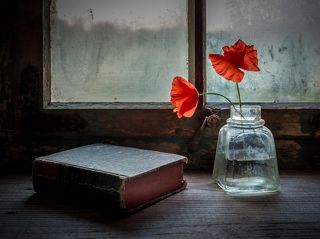 with poppies