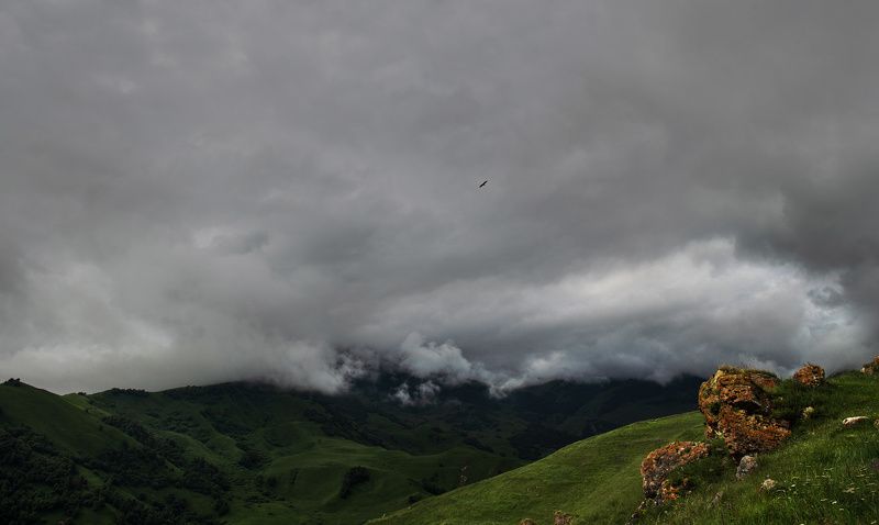 кабардино-балкария, кавказ, горы, гроза, орел, тучи, мрачно Как будто в буре есть покойphoto preview
