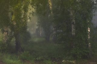 ***