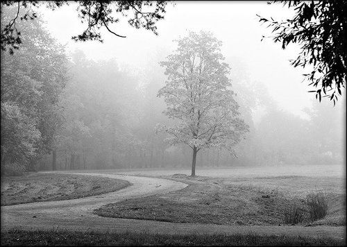 Черно-белый пейзаж с туманом