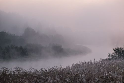 Река в одеяле тумана
