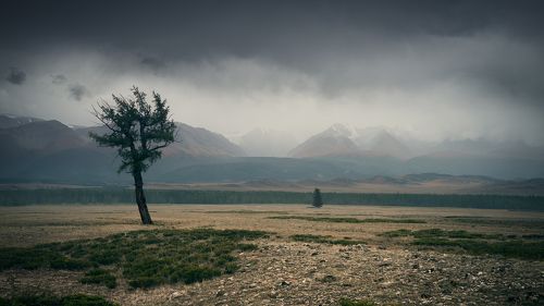 Непогода в Курайской степи / Bad weather in the kurai steppe