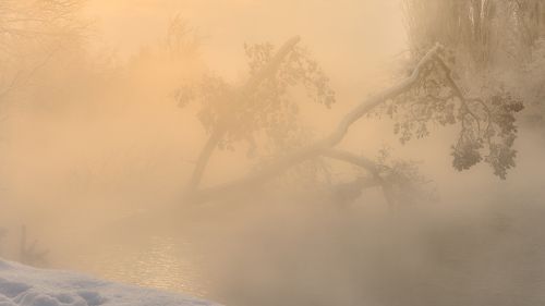 Растворяясь в утреннем тумане