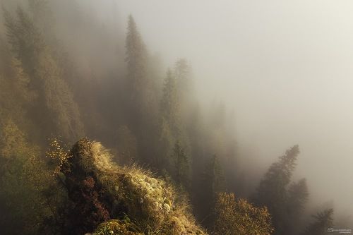 Туманное утро на Усьвенских столбах