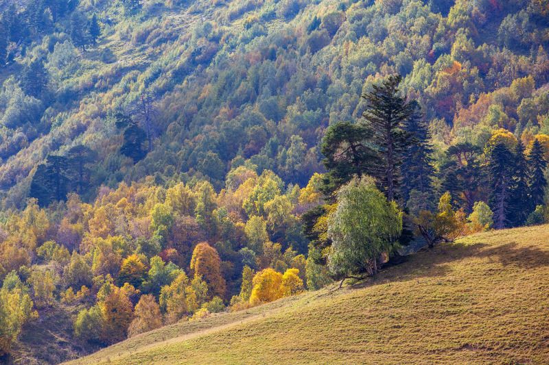 кчр, архзыз,осень ,горы ,кавказ Осень в Архызе ...photo preview