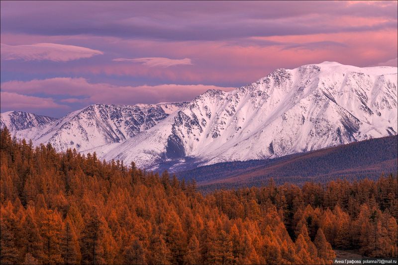 алтай, горы, горный алтай, закат, северо-чуйский хребет, #красиваяосень2018, аня графова Вечерняя ода горам!photo preview