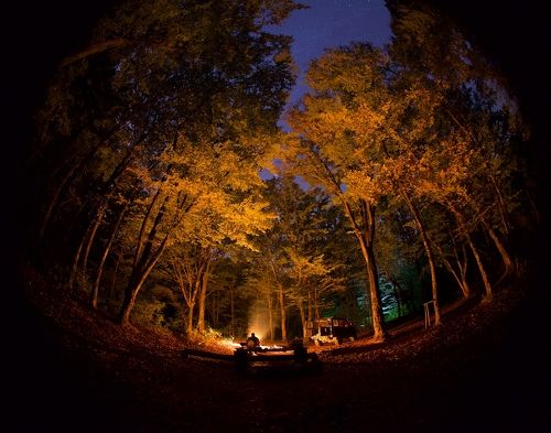 Ночь в осеннем лесу