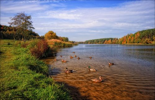 Осень на реке Птичъ