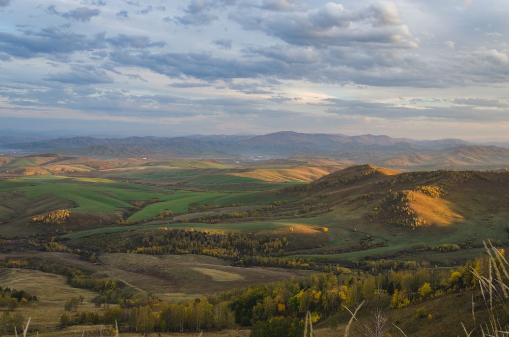 Советский район алтайский край фото