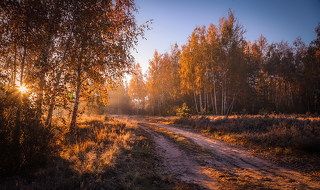 Разгуливает осень