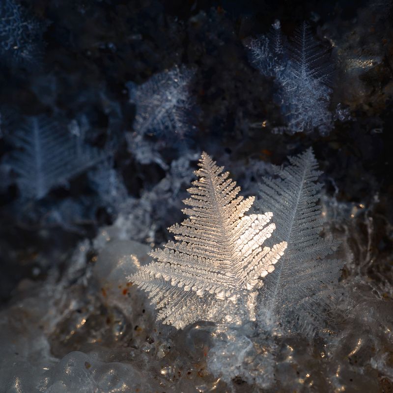зима, море, кристаллы, снежинки Зимнее украшение Охотского моряphoto preview