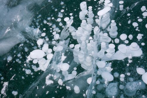  Пузыри в байкальском льду