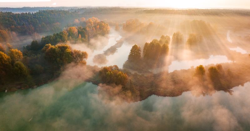 туман, рассвет, лес, река Флерphoto preview