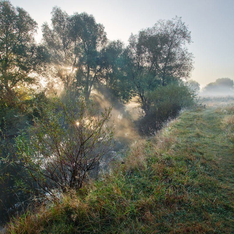 туман, река, утро, осень ***photo preview