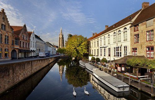 Brugge : swan morning