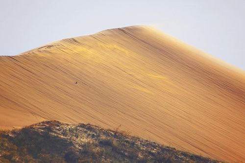 Песчаная гора.. Сары кум (Желтые пески..
