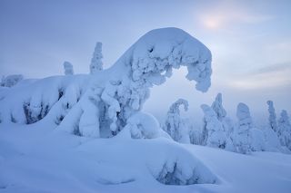 Зимняя зима :)