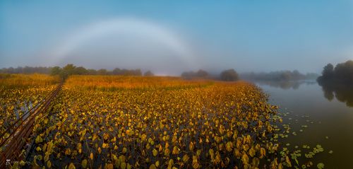 Туманная радуга над осенним полем лотосов