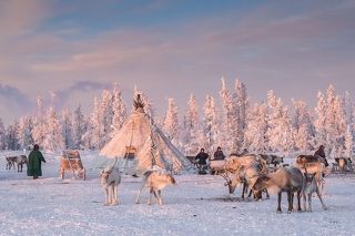 Жизнь ненецких оленеводов