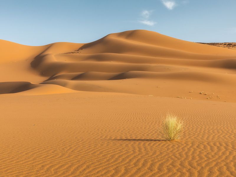 пустыня, алжир, тадрарт, сахара, дюны, песок Пустыняphoto preview